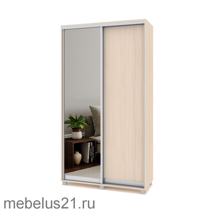 Шкаф купе Роланд с зеркалом 1 м