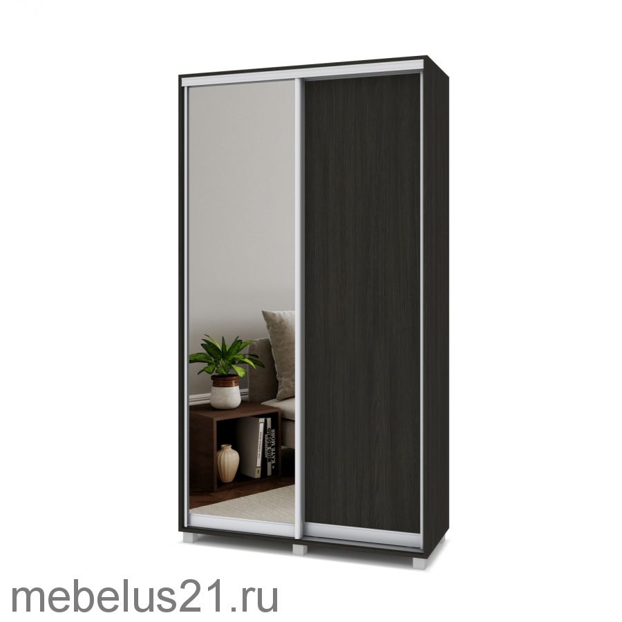 Шкаф купе Роланд с зеркалом 1 м
