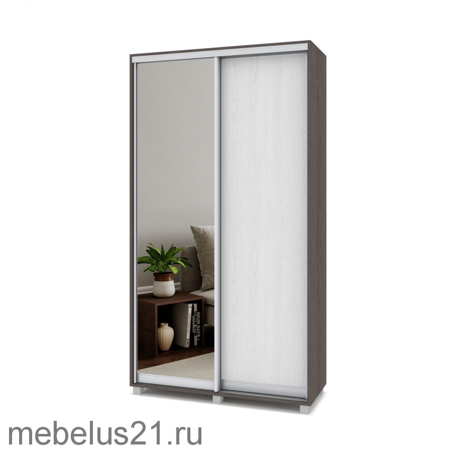 Шкаф купе Роланд с зеркалом 1 м