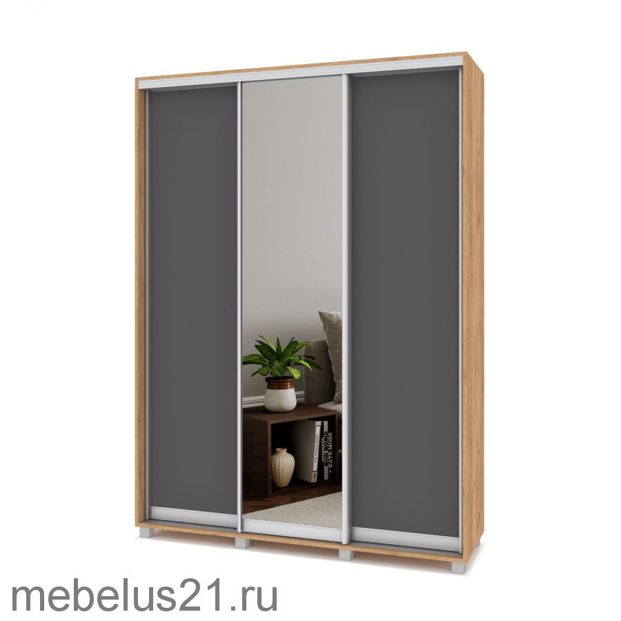 Шкаф купе с зеркалом Роланд 1,6 м