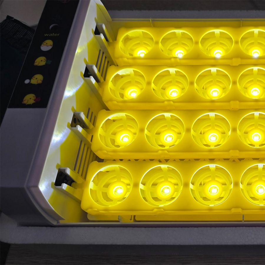 Инкубатор HHD на 24 яйца с овоскопом, автоматический переворот (УЦЕНКА)