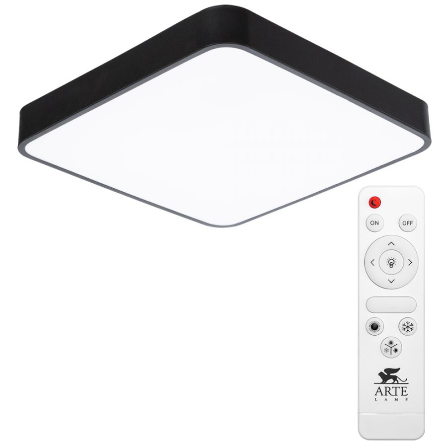 Потолочный светильник Arte Lamp SCENA A2663PL-1BK