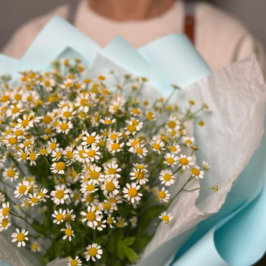 Букет Ромашек