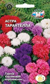 Астра Тарантелла, 0,1 г (СеДеК)