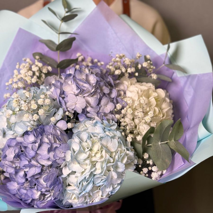 Воздушные гортензии