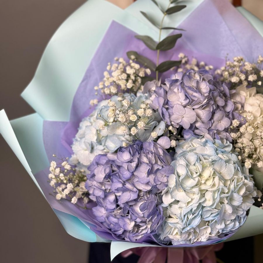 Воздушные гортензии