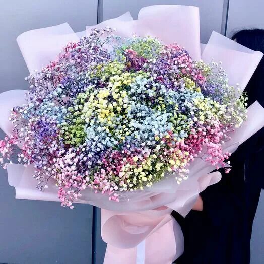 Радужная гипсофла