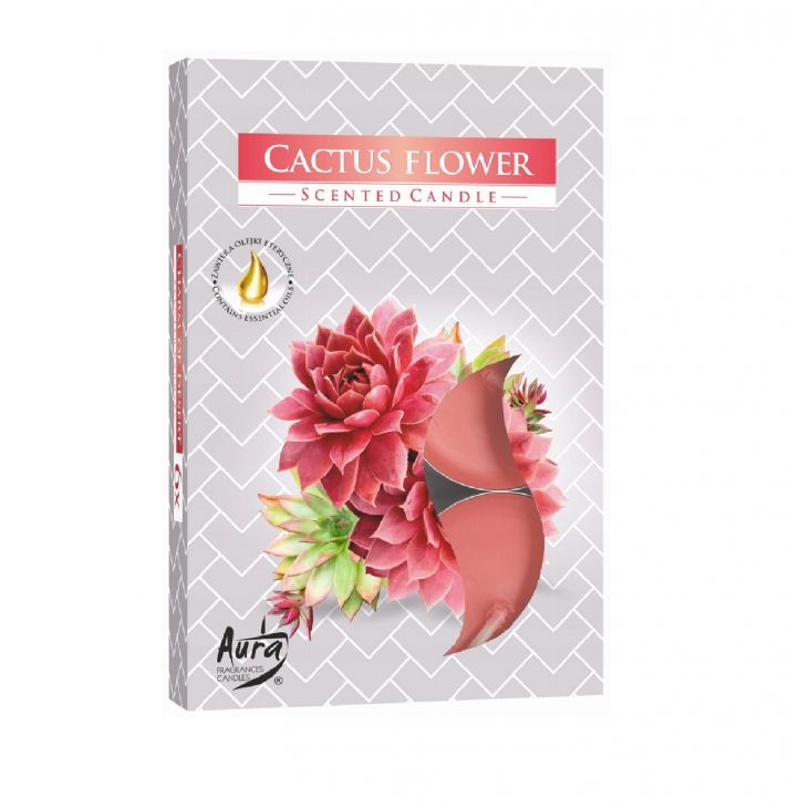 Bispol Ароматические свечи чайные Cactus Flower, 6 шт.