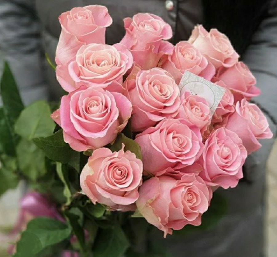 Роза Хермоза 80 см