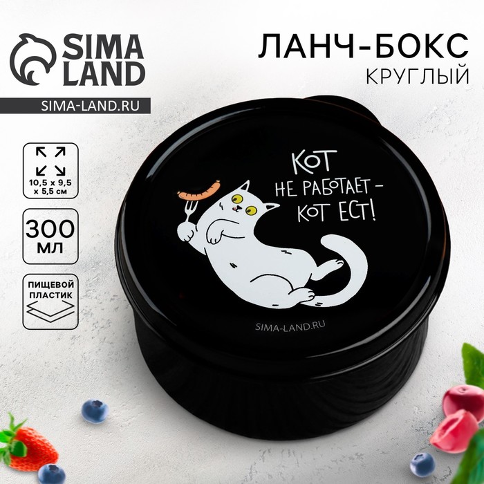 Ланч-бокс «Кот не работает», 0.3 л