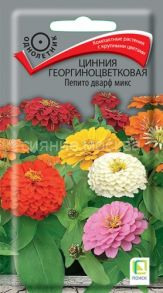 Цинния георгиноцветковая Пепито дварф микс 0,4гр. ПОИСК