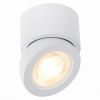 Светильник Потолочный ST-Luce ST654.532.10 Белый LED 1*10W 3000K 850Lm Ra>90 38° IP20 D95xH96 180-240V / СТ Люче.
