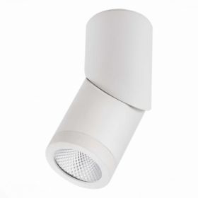 Светильник Потолочный ST-Luce ST650.542.10 Белый LED 1*10W 4000K 800Lm Ra>90 38° IP44 D60xH175 165-265V / СТ Люче.