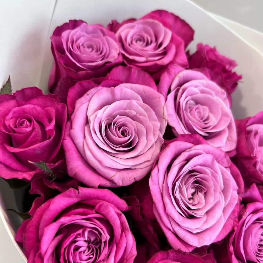 Букет 11 пурпурных роз