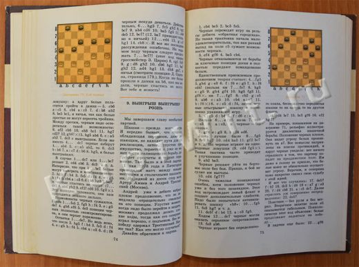 книга о русских и стоклеточных шашках
