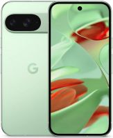 G. Google Pixel 9 12/256Gb Wintergreen US