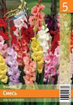 Gladiolusy-Smes-krupnocvetkovyh-sortov-10-12-5-sht