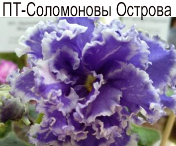 ПТ-Соломоновы Острова (Пугачёва)