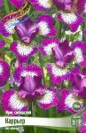 Iris-sibirskij-Karrer-CURRIER-1-sht