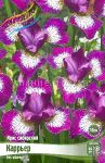 Iris-sibirskij-Karrer-CURRIER-1-sht