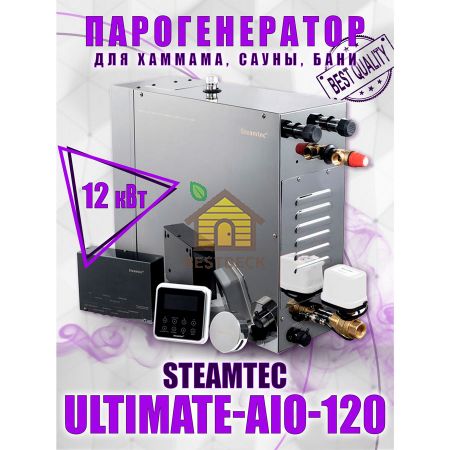 Steamtec TOLO AIO 120 - 12 кВт парогенератор для хамама и турецкой бани / Серия Premium