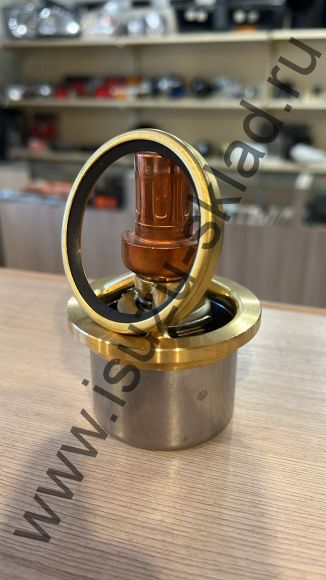Термостат (6wf1/6wg1) cyz с сальником (Япония)