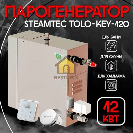 Steamtec TOLO KEY 120 - 12 кВт парогенератор