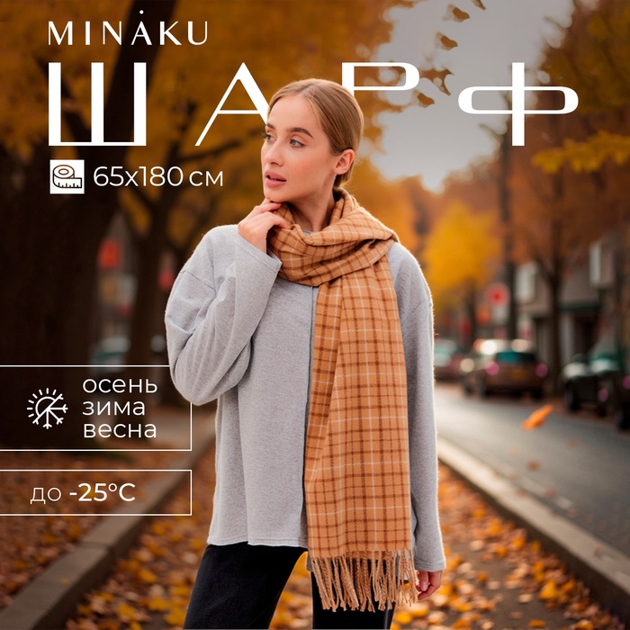 Шарф зимний с кистями MINAKU 65*180 + 8 см цвет бежевый