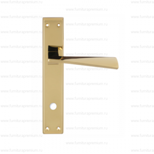 Ручка на планке Extreza Dia 118  PL13 WC