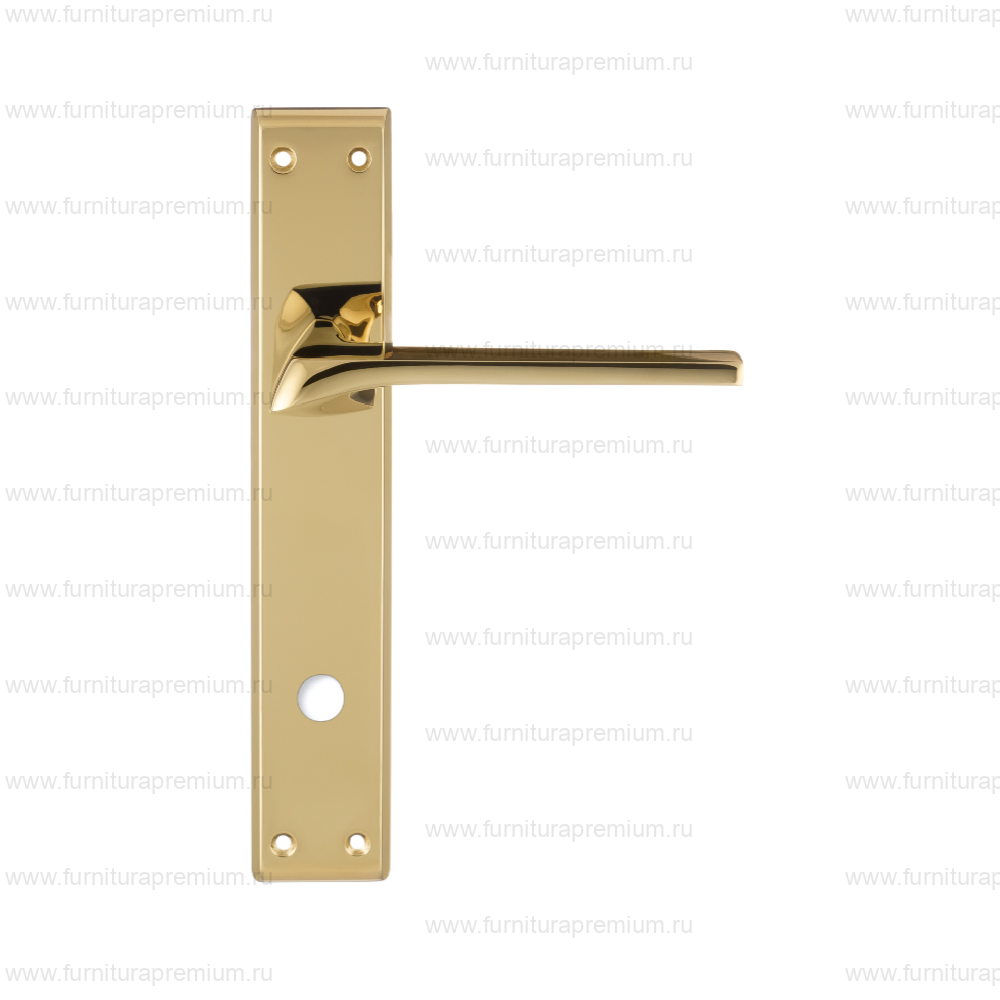 Ручка на планке Extreza Erica 119 WC PL13