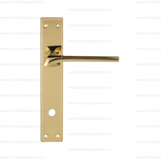 Ручка на планке Extreza Erica 119 WC PL13