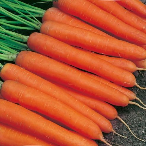 Морковь Саманта F1, 1г семян