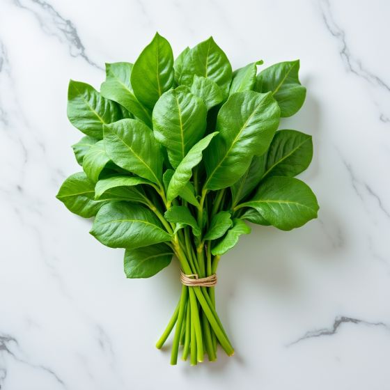 .Щавель 100гр