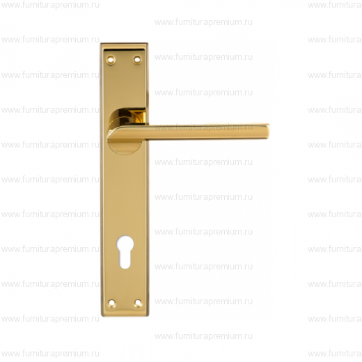 Ручка на планке Extreza Hi-Tech Santa 128 CYL PL13