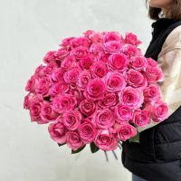 101 розовая роза Эквадор в ленте.