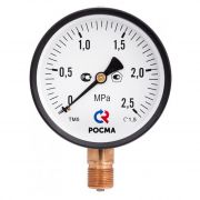 Манометр Росма ТМ-210Р.00 G1/4.2,5 (597) радиальный 1/4 НР(ш) 10 бар d50 мм