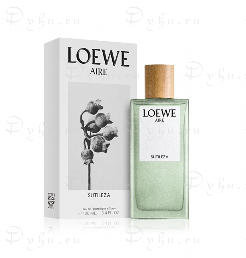 Loewe  Aire Sutileza