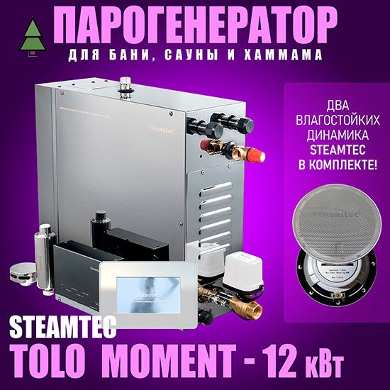 Парогенератор для хамама Steamtec Platinum TOLO MOMENT 120 - 12 кВт